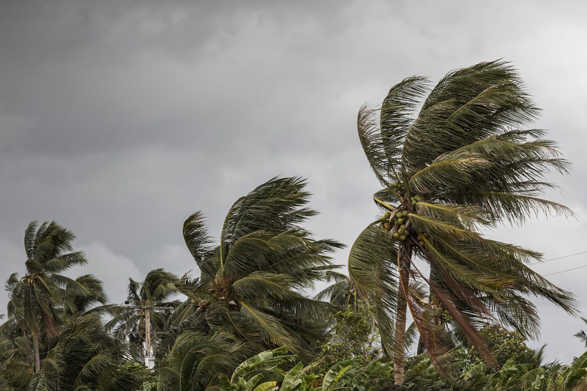 When Should I Get A Wind Mitigation Inspection?